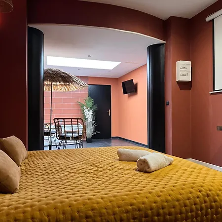 Safari Sunset Roubaix